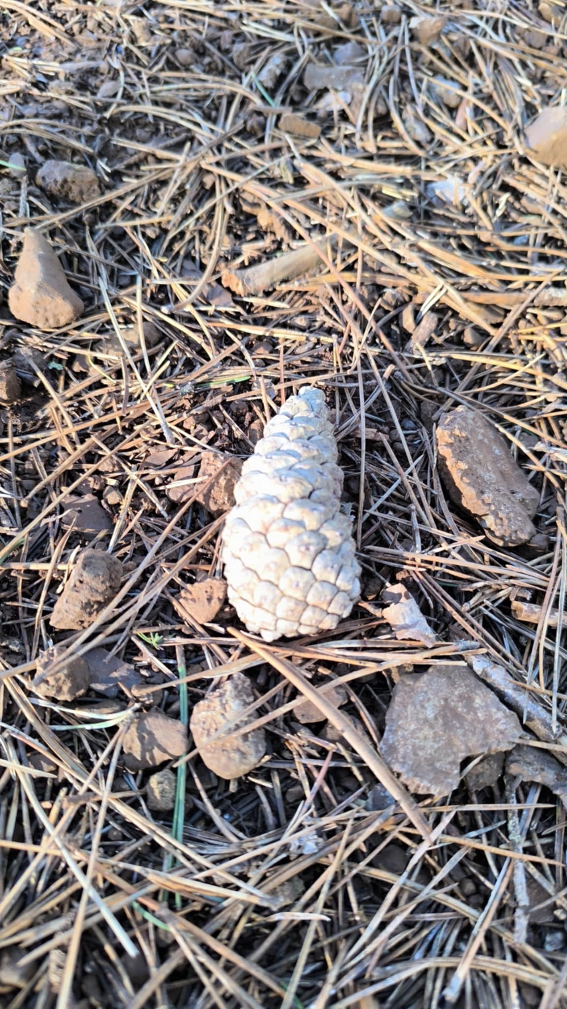 Ancrage et Sécurité : sortir du mode survie